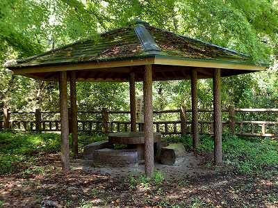 🏕️ 돗토리 연못 녹지・벚꽃 동산 (돗토리이케료쿠치・사쿠라노소노) 이미지 2